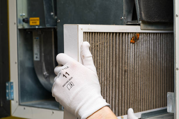Best Air Quality Test  in Cactus, TX