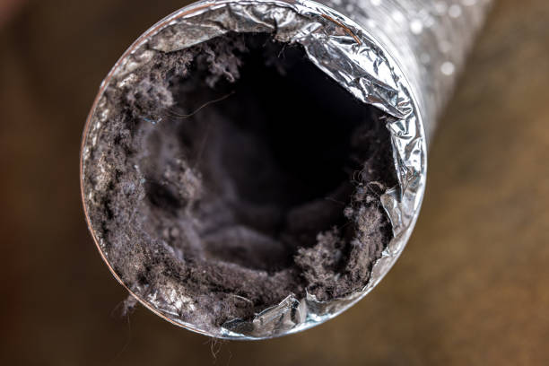 Best General Air Duct Cleaning  in Cactus, TX